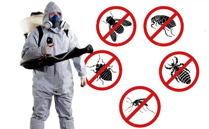Fumigation Services